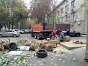 Уборка  расчистка  учаса , территории,  демонтаж вывоз мусора покос травы Одесса  - foto 1