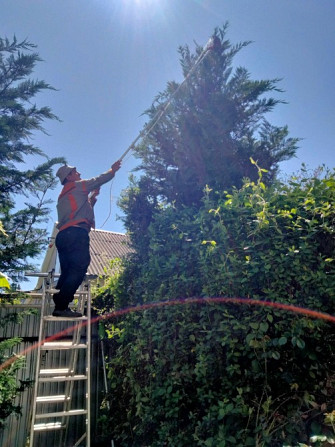 Обрезкасадовых деревьев, уход за садом садовник Одеса - main