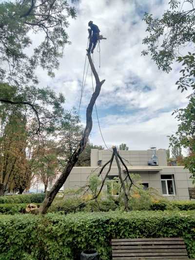  Спил дерева,  покос травы ,  расчиска вывоз мусора  Одесса  - main