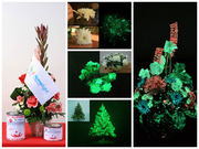 Светящаяся краска для цветов - AcmeLight Flower,  0, 5л - foto 1