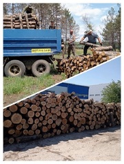 Продам дрова дубовые.  - foto 1
