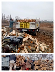 Продам дрова дуба Одесса и область. 