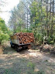Продам дрова Одесса. - foto 1