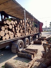 Продам дрова Одесса. - foto 0