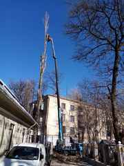 Спилим обрежем деревья,  удалим поросли - foto 3