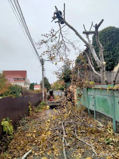 Спил дерева, демонтаж работы, земляные Одесса - main